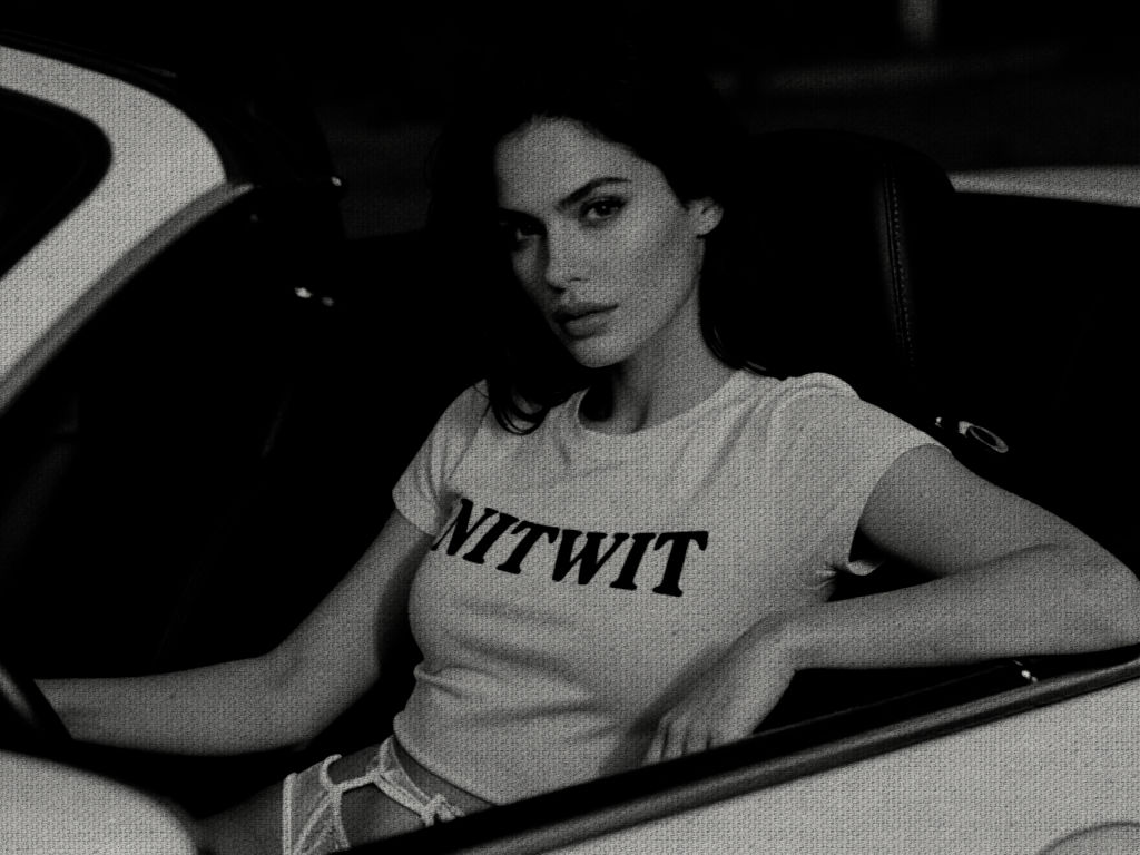 NITWIT image